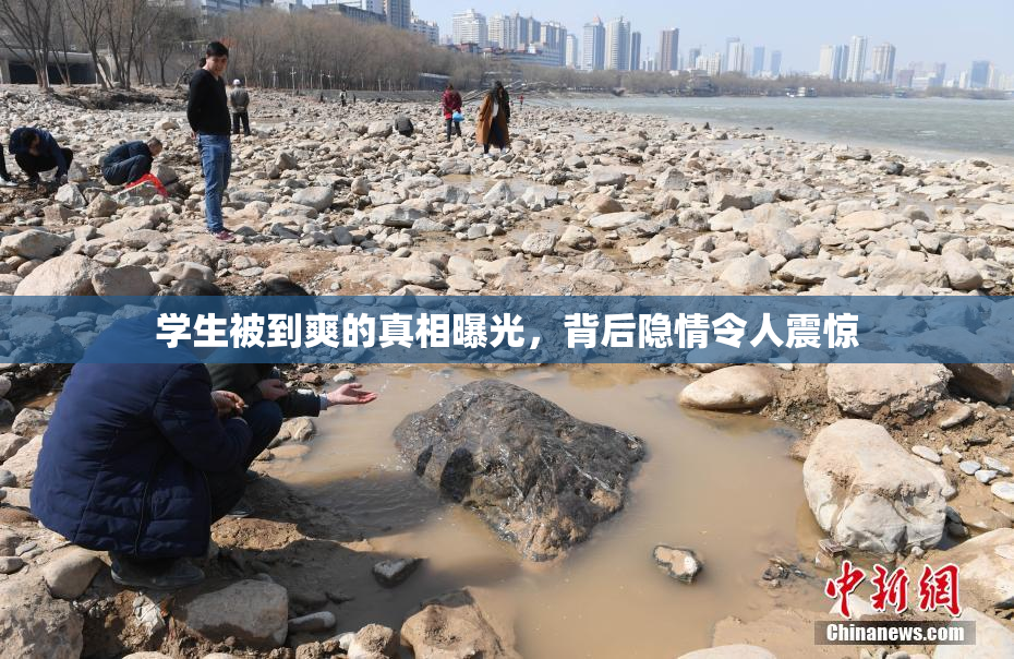 学生被到爽的真相曝光，背后隐情令人震惊