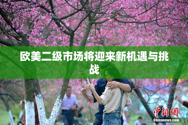 欧美二级市场将迎来新机遇与挑战
