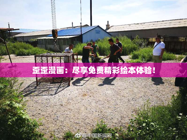 歪歪漫画：尽享免费精彩绘本体验！