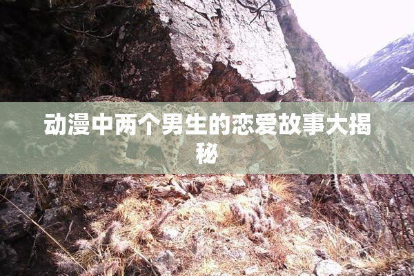 动漫中两个男生的恋爱故事大揭秘