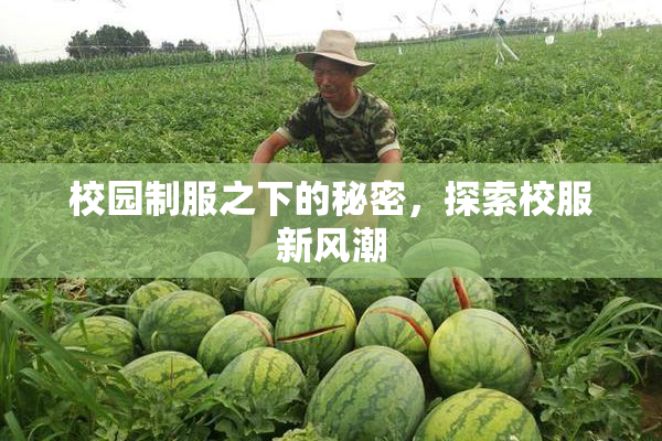 校园制服之下的秘密，探索校服新风潮