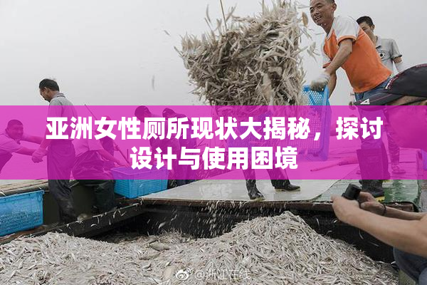 亚洲女性厕所现状大揭秘，探讨设计与使用困境