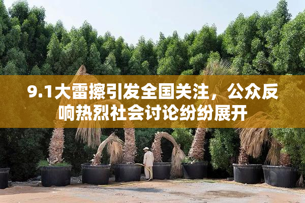 9.1大雷擦引发全国关注，公众反响热烈社会讨论纷纷展开
