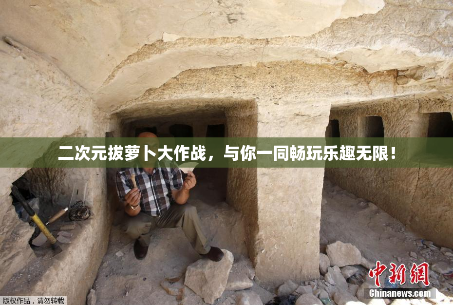 二次元拔萝卜大作战，与你一同畅玩乐趣无限！