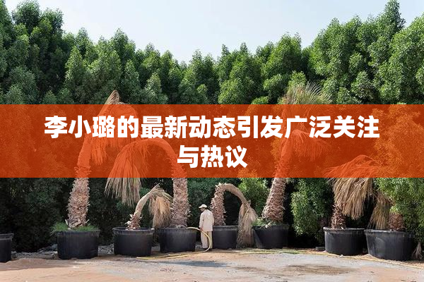 李小璐的最新动态引发广泛关注与热议