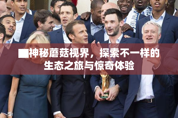 ▇神秘蘑菇视界，探索不一样的生态之旅与惊奇体验