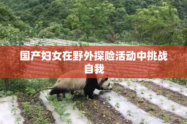 国产妇女在野外探险活动中挑战自我