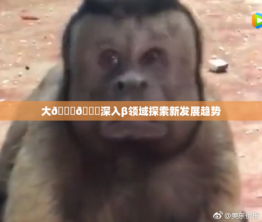 大🐔🐔深入β领域探索新发展趋势