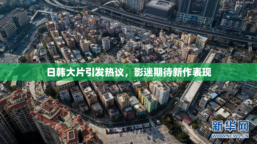 日韩大片引发热议，影迷期待新作表现