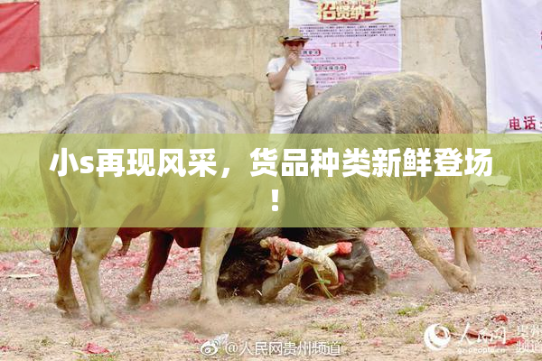 小s再现风采，货品种类新鲜登场！