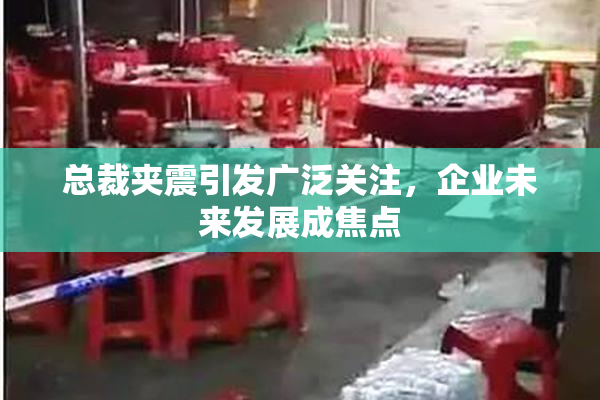 总裁夹震引发广泛关注，企业未来发展成焦点