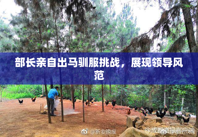 部长亲自出马驯服挑战，展现领导风范