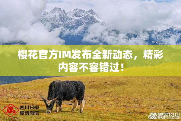 樱花官方IM发布全新动态，精彩内容不容错过！