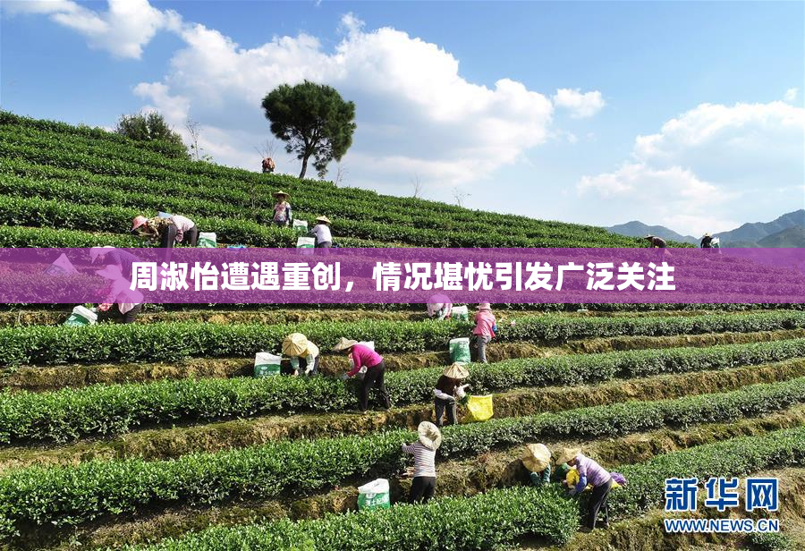 周淑怡遭遇重创，情况堪忧引发广泛关注