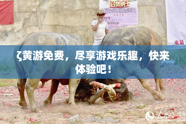 ζ黄游免费，尽享游戏乐趣，快来体验吧！