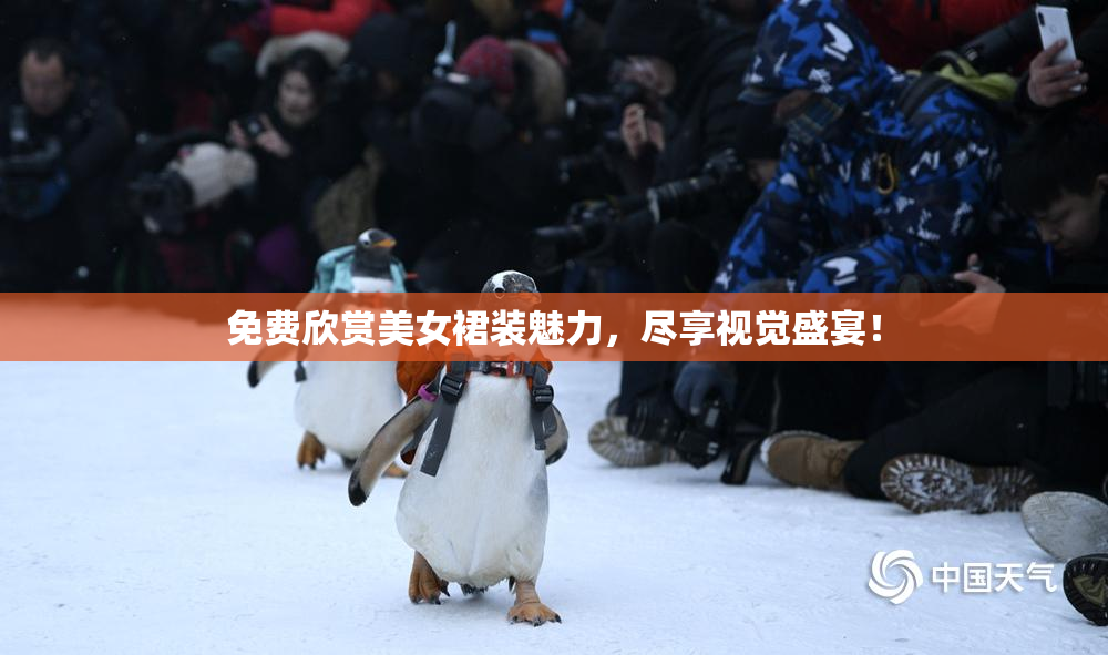 免费欣赏美女裙装魅力，尽享视觉盛宴！