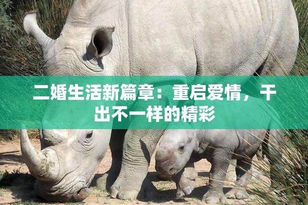 二婚生活新篇章：重启爱情，干出不一样的精彩