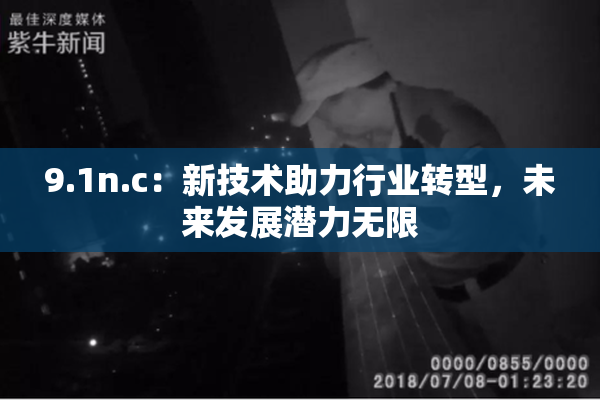 9.1n.c：新技术助力行业转型，未来发展潜力无限