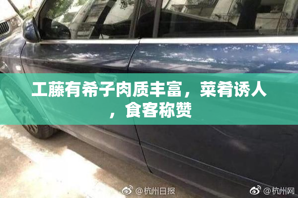 工藤有希子肉质丰富，菜肴诱人，食客称赞