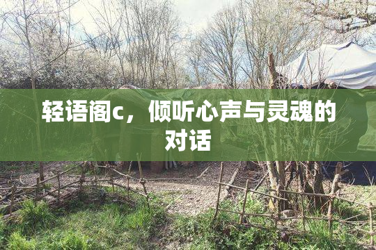轻语阁c，倾听心声与灵魂的对话