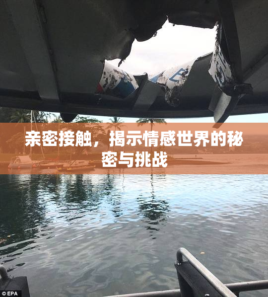 亲密接触，揭示情感世界的秘密与挑战