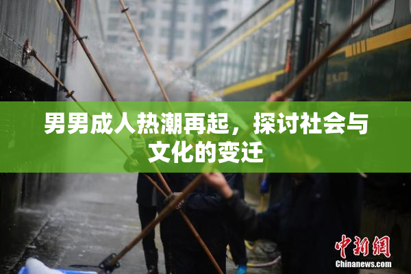 男男成人热潮再起，探讨社会与文化的变迁