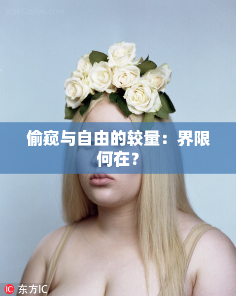 偷窥与自由的较量：界限何在？