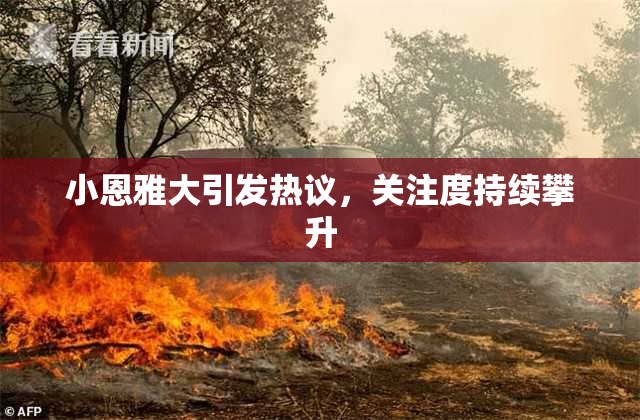 小恩雅大引发热议，关注度持续攀升