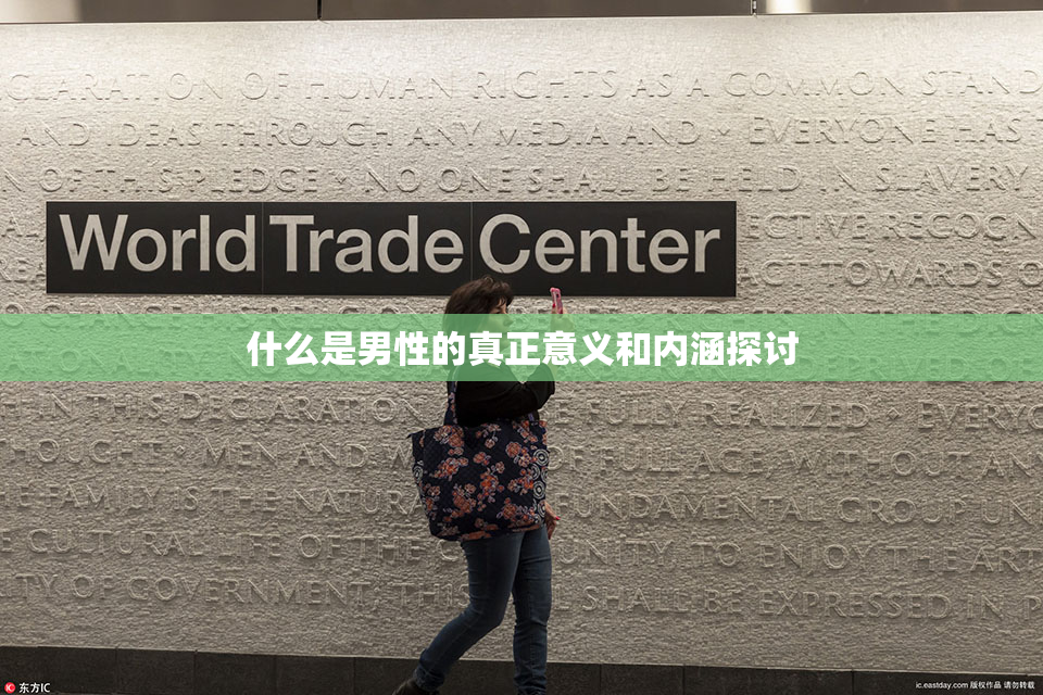 什么是男性的真正意义和内涵探讨