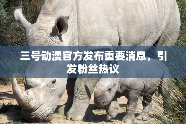 三号动漫官方发布重要消息，引发粉丝热议