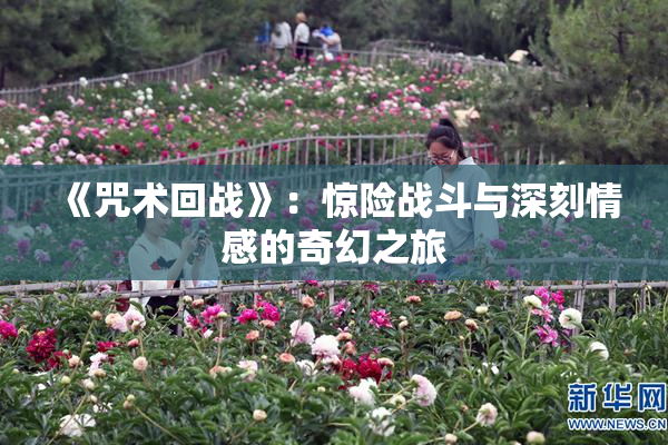 《咒术回战》：惊险战斗与深刻情感的奇幻之旅