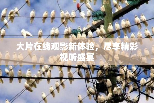 大片在线观影新体验，尽享精彩视听盛宴