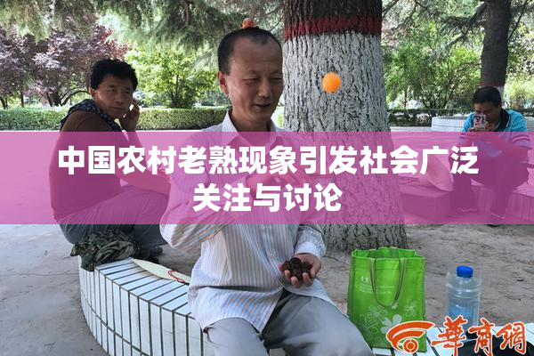 中国农村老熟现象引发社会广泛关注与讨论