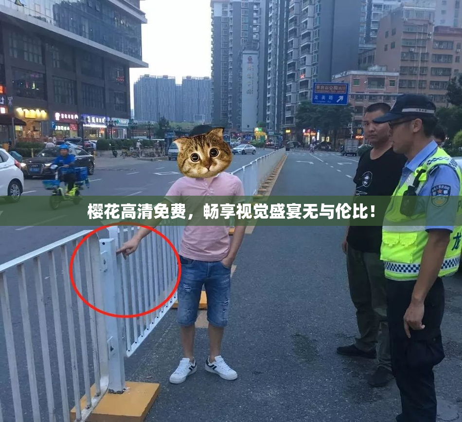 樱花高清免费，畅享视觉盛宴无与伦比！