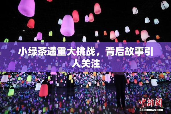 小绿茶遇重大挑战，背后故事引人关注
