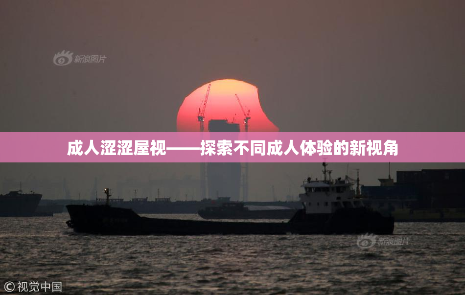 成人涩涩屋视——探索不同成人体验的新视角