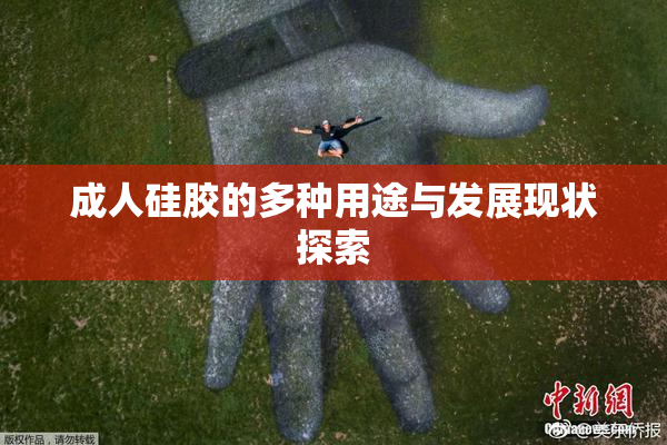 成人硅胶的多种用途与发展现状探索
