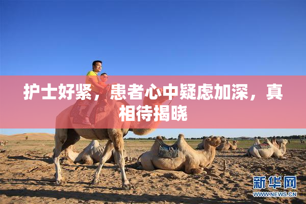 护士好紧，患者心中疑虑加深，真相待揭晓