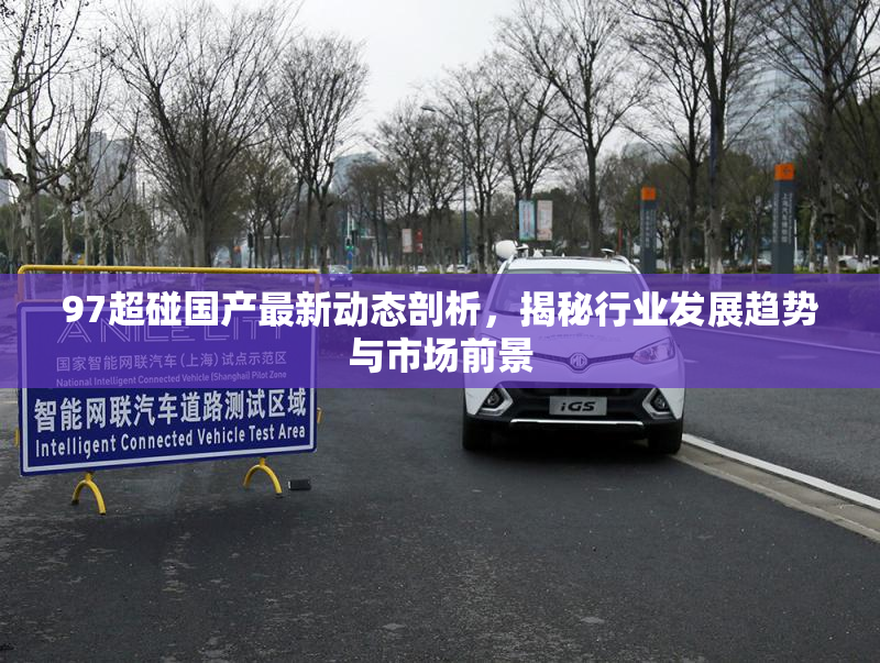 97超碰国产最新动态剖析，揭秘行业发展趋势与市场前景