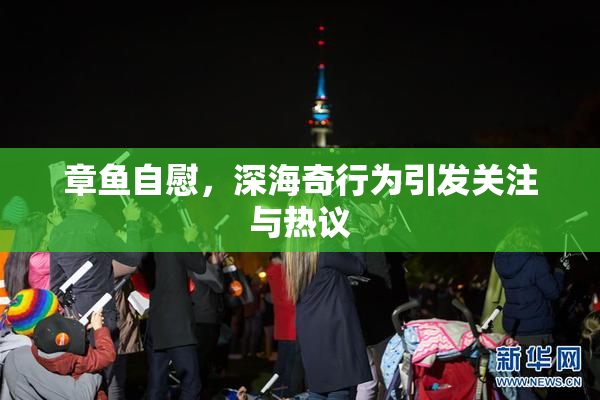 章鱼自慰，深海奇行为引发关注与热议
