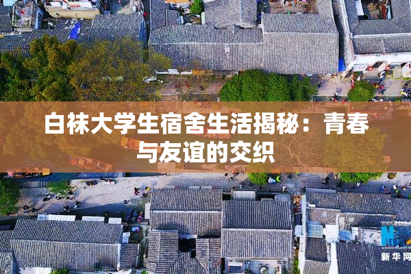 白袜大学生宿舍生活揭秘：青春与友谊的交织