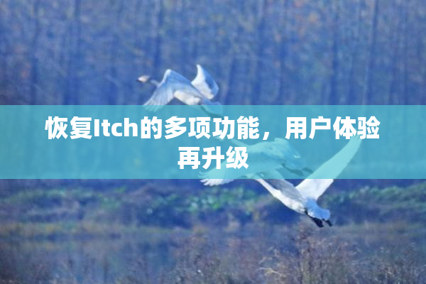 恢复Itch的多项功能，用户体验再升级