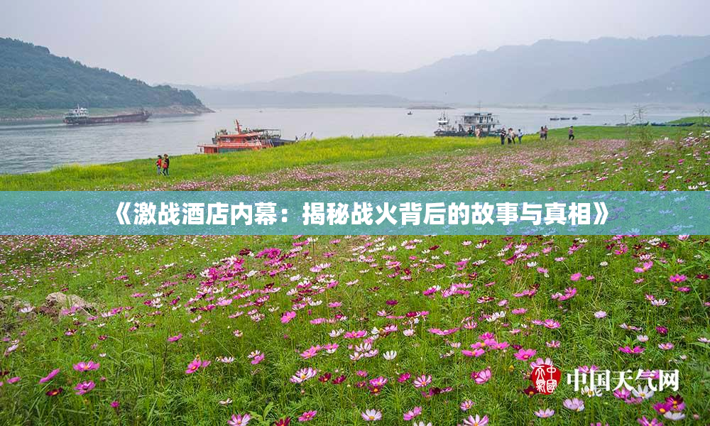 《激战酒店内幕：揭秘战火背后的故事与真相》