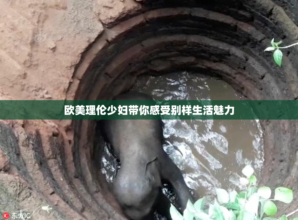 欧美理伦少妇带你感受别样生活魅力