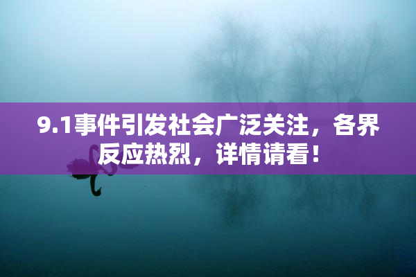 9.1事件引发社会广泛关注，各界反应热烈，详情请看！