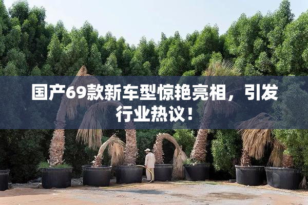 国产69款新车型惊艳亮相，引发行业热议！