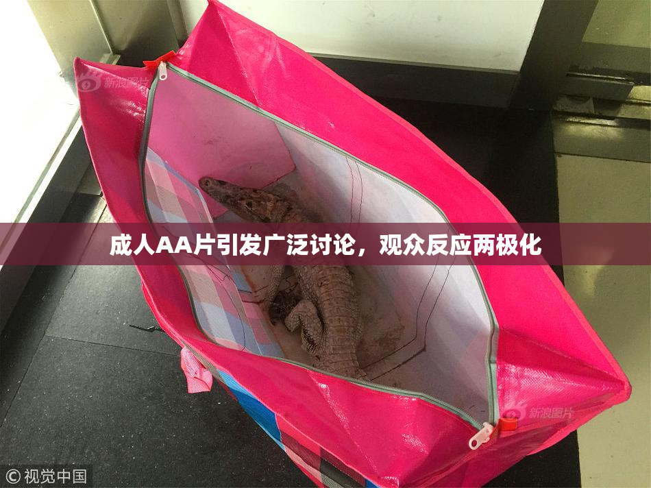 成人AA片引发广泛讨论，观众反应两极化