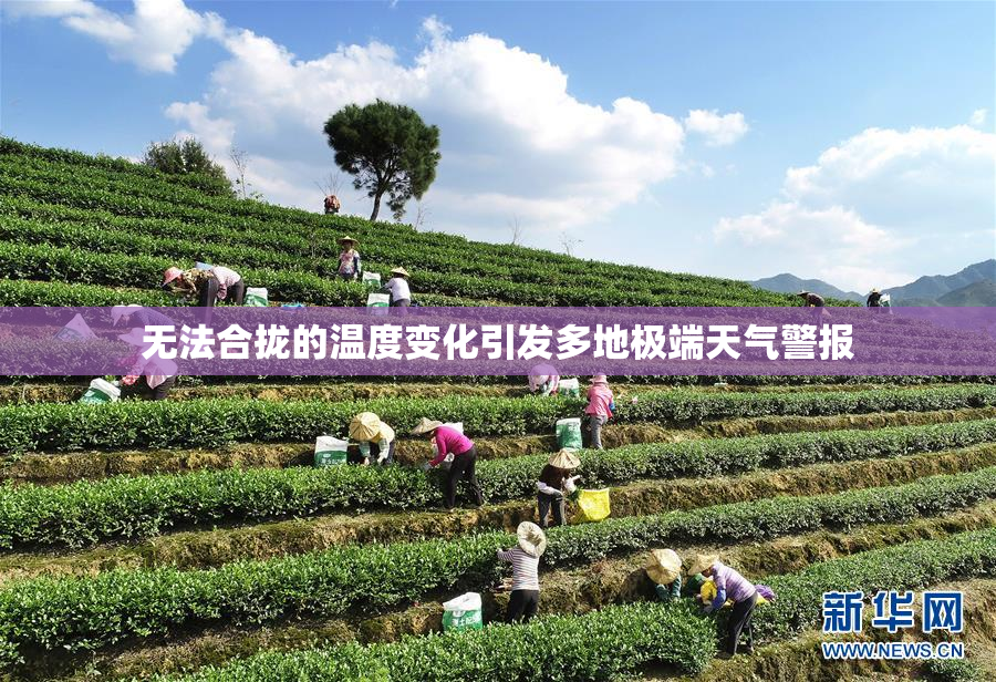 无法合拢的温度变化引发多地极端天气警报