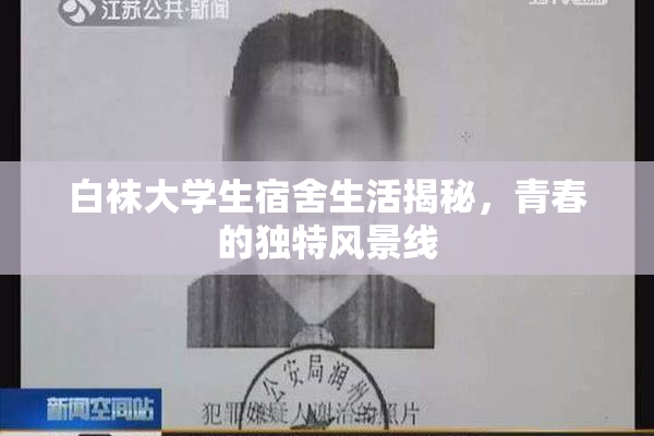白袜大学生宿舍生活揭秘，青春的独特风景线