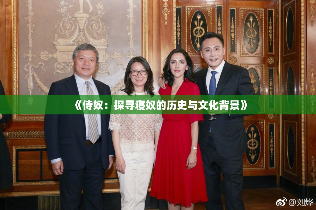 《侍奴：探寻寝奴的历史与文化背景》